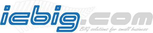 ICBIG Logo